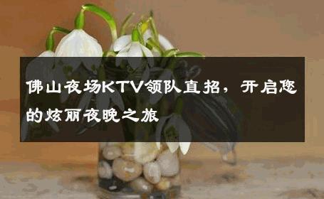 佛山夜场KTV领队直招，开启您的炫丽夜晚之旅