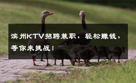 滨州KTV招聘兼职，轻松赚钱，等你来挑战！