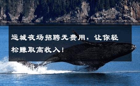 运城夜场招聘无费用，让你轻松赚取高收入！