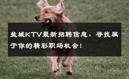 盐城KTV最新招聘信息，寻找属于你的精彩职场机会！