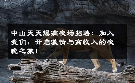 中山天天爆满夜场招聘：加入我们，开启激情与高收入的夜晚之旅！