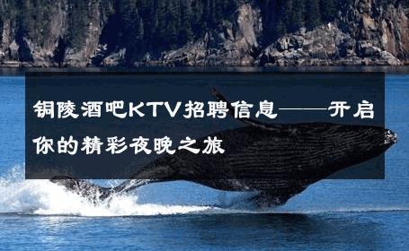 铜陵酒吧KTV招聘信息——开启你的精彩夜晚之旅