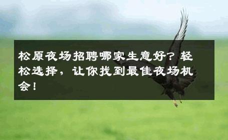 松原夜场招聘哪家生意好？轻松选择，让你找到最佳夜场机会！