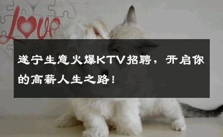 遂宁生意火爆KTV招聘，开启你的高薪人生之路！