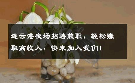 连云港夜场招聘兼职，轻松赚取高收入，快来加入我们！