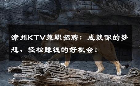 漳州KTV兼职招聘：成就你的梦想，轻松赚钱的好机会！
