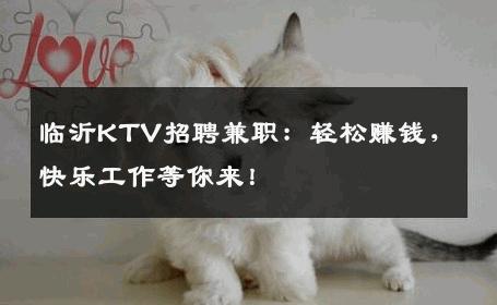 临沂KTV招聘兼职：轻松赚钱，快乐工作等你来！