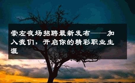崇左夜场招聘最新发布——加入我们，开启你的精彩职业生涯