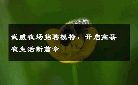 武威夜场招聘模特，开启高薪夜生活新篇章