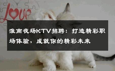 淮南夜场KTV招聘：打造精彩职场体验，成就你的精彩未来