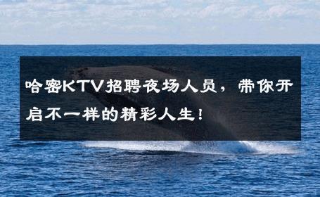 哈密KTV招聘夜场人员，带你开启不一样的精彩人生！