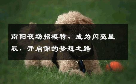 南阳夜场招模特，成为闪亮星辰，开启你的梦想之路