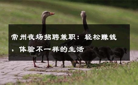 常州夜场招聘兼职：轻松赚钱，体验不一样的生活