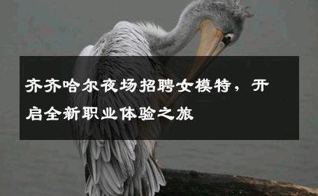 齐齐哈尔夜场招聘女模特，开启全新职业体验之旅