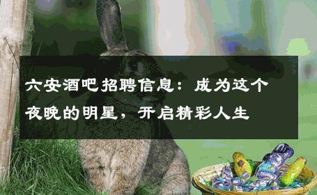 六安酒吧招聘信息：成为这个夜晚的明星，开启精彩人生