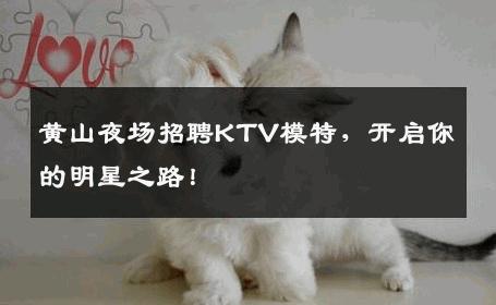 黄山夜场招聘KTV模特，开启你的明星之路！