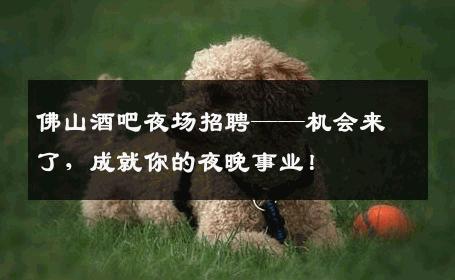 佛山酒吧夜场招聘——机会来了，成就你的夜晚事业！