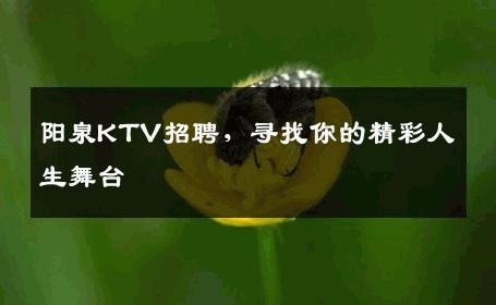 阳泉KTV招聘，寻找你的精彩人生舞台