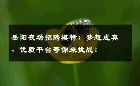 岳阳夜场招聘模特：梦想成真，优质平台等你来挑战！