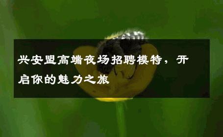 兴安盟高端夜场招聘模特，开启你的魅力之旅