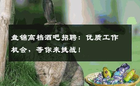 盘锦高档酒吧招聘：优质工作机会，等你来挑战！