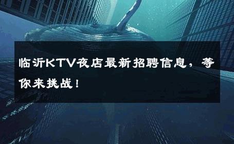 临沂KTV夜店最新招聘信息，等你来挑战！