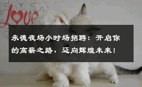 承德夜场小时场招聘：开启你的高薪之路，迈向辉煌未来！