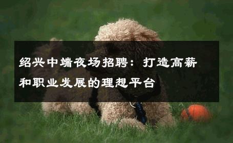 绍兴中端夜场招聘：打造高薪和职业发展的理想平台