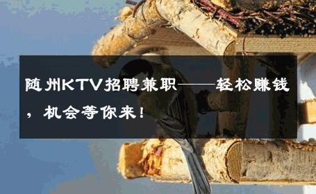 随州KTV招聘兼职——轻松赚钱，机会等你来！