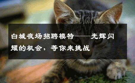 白城夜场招聘模特——光辉闪耀的机会，等你来挑战