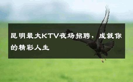 昆明最大KTV夜场招聘，成就你的精彩人生
