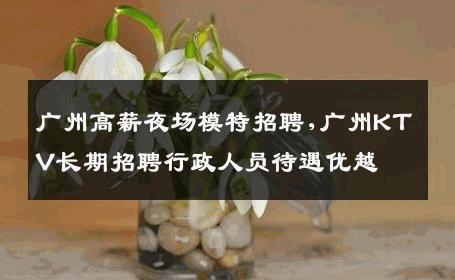 广州高薪夜场模特招聘,广州KTV长期招聘行政人员待遇优越