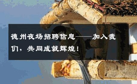 德州夜场招聘信息——加入我们，共同成就辉煌！