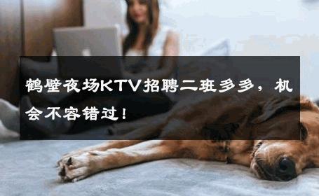 鹤壁夜场KTV招聘二班多多，机会不容错过！