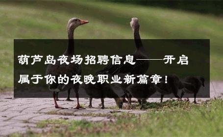 葫芦岛夜场招聘信息——开启属于你的夜晚职业新篇章！