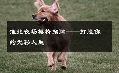淮北夜场模特招聘——打造你的光彩人生