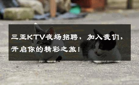三亚KTV夜场招聘，加入我们，开启你的精彩之旅！