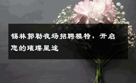 锡林郭勒夜场招聘模特，开启您的璀璨星途