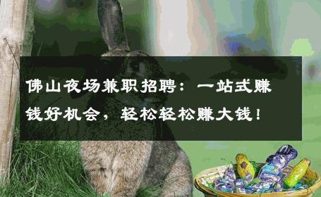 佛山夜场兼职招聘：一站式赚钱好机会，轻松轻松赚大钱！