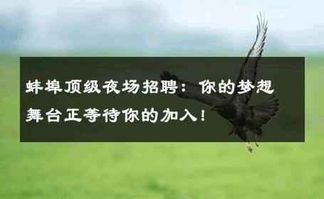 蚌埠顶级夜场招聘：你的梦想舞台正等待你的加入！