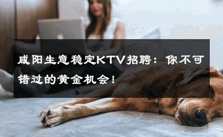 咸阳生意稳定KTV招聘：你不可错过的黄金机会！