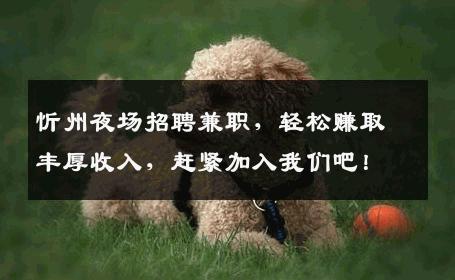 忻州夜场招聘兼职，轻松赚取丰厚收入，赶紧加入我们吧！