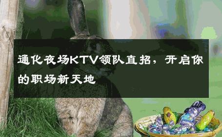 通化夜场KTV领队直招，开启你的职场新天地