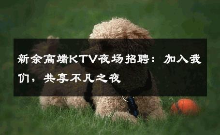 新余高端KTV夜场招聘：加入我们，共享不凡之夜