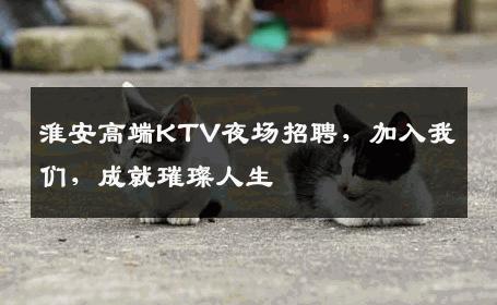 淮安高端KTV夜场招聘，加入我们，成就璀璨人生