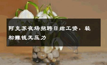 阿克苏夜场招聘日结工资，轻松赚钱无压力