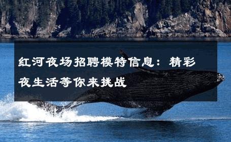 红河夜场招聘模特信息：精彩夜生活等你来挑战