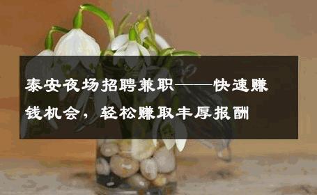 泰安夜场招聘兼职——快速赚钱机会，轻松赚取丰厚报酬