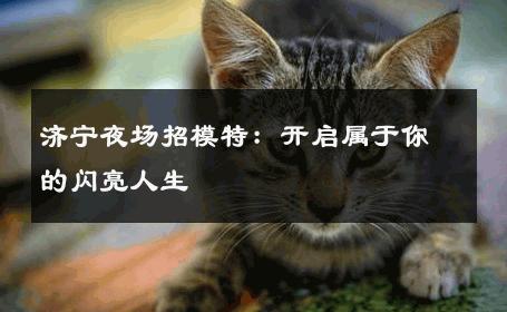济宁夜场招模特：开启属于你的闪亮人生