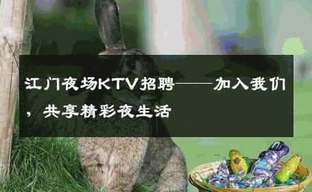 江门夜场KTV招聘——加入我们，共享精彩夜生活